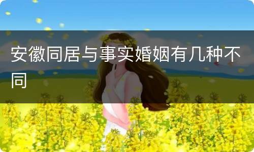 安徽同居与事实婚姻有几种不同