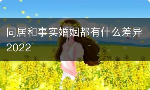同居和事实婚姻都有什么差异2022