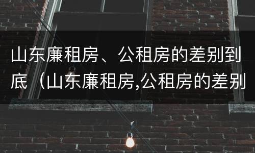 山东廉租房、公租房的差别到底（山东廉租房,公租房的差别到底有多大）