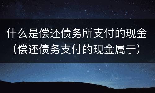 什么是偿还债务所支付的现金（偿还债务支付的现金属于）