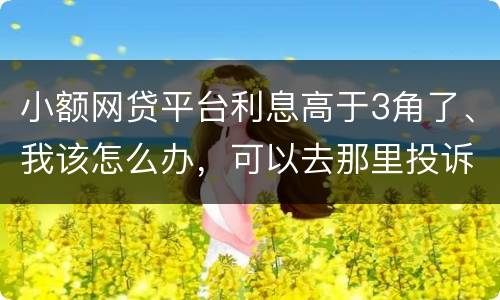 小额网贷平台利息高于3角了、我该怎么办，可以去那里投诉他们