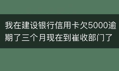 我在建设银行信用卡欠5000逾期了三个月现在到崔收部门了他们要起诉我应该怎么办