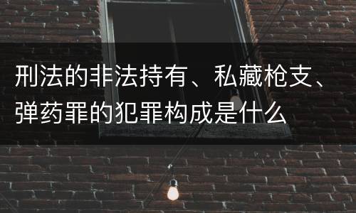 刑法的非法持有、私藏枪支、弹药罪的犯罪构成是什么