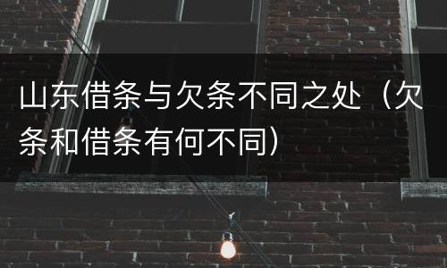 山东借条与欠条不同之处（欠条和借条有何不同）