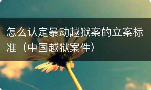 怎么认定暴动越狱案的立案标准（中国越狱案件）
