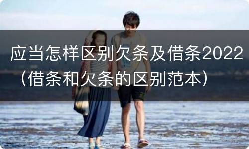 应当怎样区别欠条及借条2022（借条和欠条的区别范本）