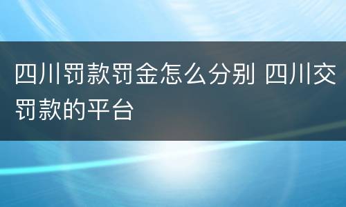 四川罚款罚金怎么分别 四川交罚款的平台