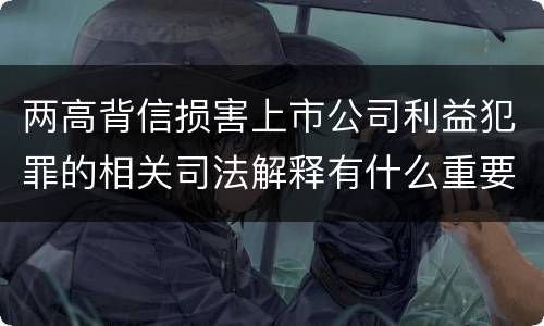 两高背信损害上市公司利益犯罪的相关司法解释有什么重要规定