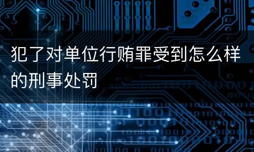 犯了对单位行贿罪受到怎么样的刑事处罚