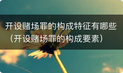 开设赌场罪的构成特征有哪些（开设赌场罪的构成要素）