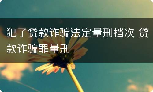 犯了贷款诈骗法定量刑档次 贷款诈骗罪量刑