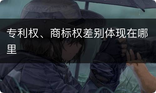 专利权、商标权差别体现在哪里