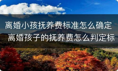 离婚小孩抚养费标准怎么确定 离婚孩子的抚养费怎么判定标准