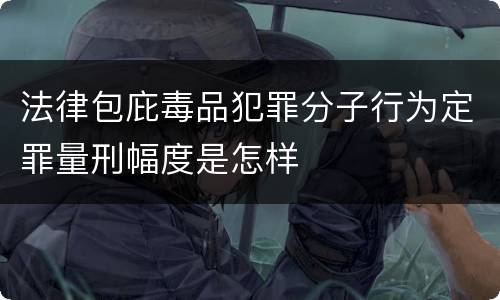 法律包庇毒品犯罪分子行为定罪量刑幅度是怎样