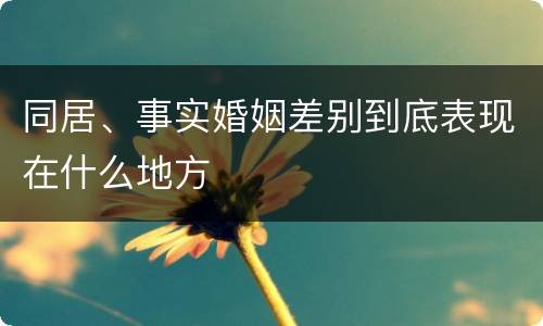 同居、事实婚姻差别到底表现在什么地方