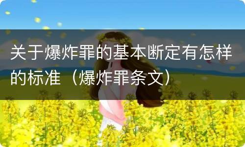 关于爆炸罪的基本断定有怎样的标准（爆炸罪条文）