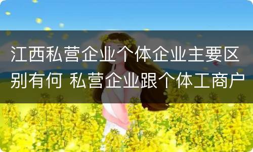 江西私营企业个体企业主要区别有何 私营企业跟个体工商户的区别