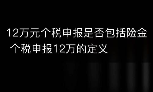 12万元个税申报是否包括险金 个税申报12万的定义