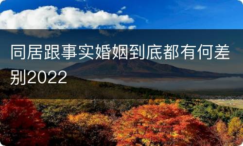 同居跟事实婚姻到底都有何差别2022