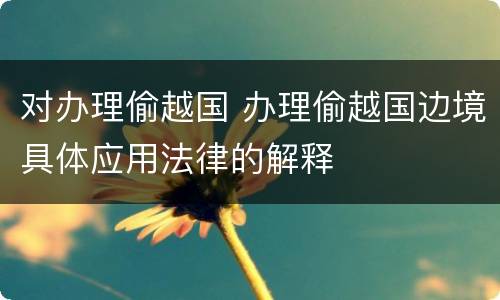 对办理偷越国 办理偷越国边境具体应用法律的解释