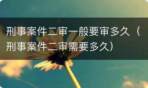 刑事案件二审一般要审多久（刑事案件二审需要多久）