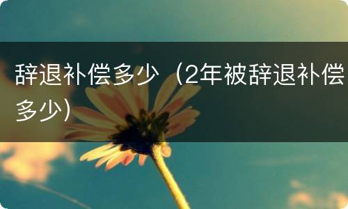 辞退补偿多少（2年被辞退补偿多少）