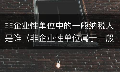 非企业性单位中的一般纳税人是谁（非企业性单位属于一般纳税人）