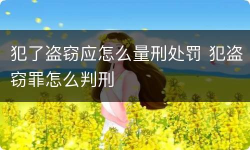 犯了盗窃应怎么量刑处罚 犯盗窃罪怎么判刑