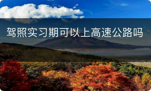 驾照实习期可以上高速公路吗