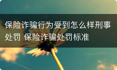 保险诈骗行为受到怎么样刑事处罚 保险诈骗处罚标准