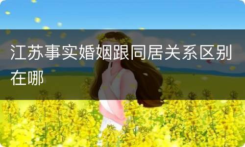 江苏事实婚姻跟同居关系区别在哪