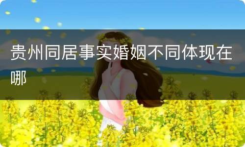 贵州同居事实婚姻不同体现在哪