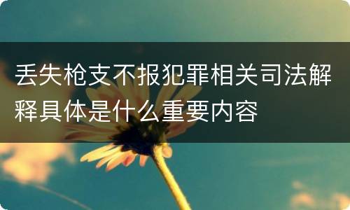 丢失枪支不报犯罪相关司法解释具体是什么重要内容