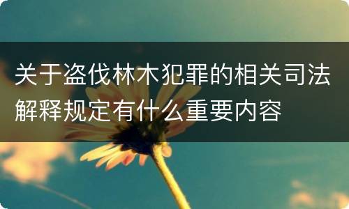 关于盗伐林木犯罪的相关司法解释规定有什么重要内容