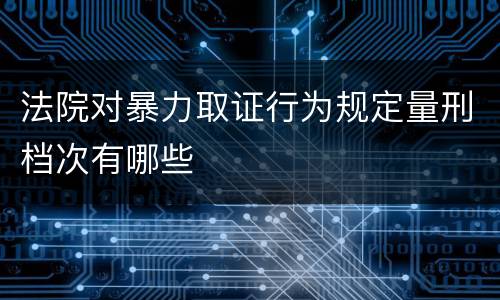 法院对暴力取证行为规定量刑档次有哪些