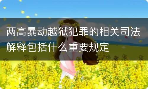 两高暴动越狱犯罪的相关司法解释包括什么重要规定