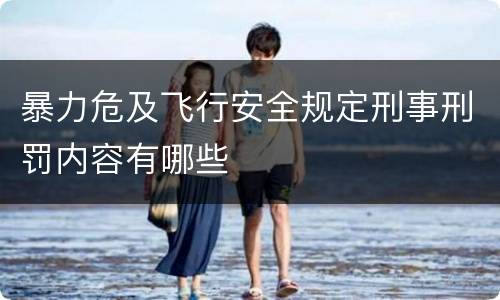暴力危及飞行安全规定刑事刑罚内容有哪些