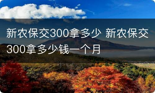新农保交300拿多少 新农保交300拿多少钱一个月