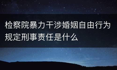检察院暴力干涉婚姻自由行为规定刑事责任是什么