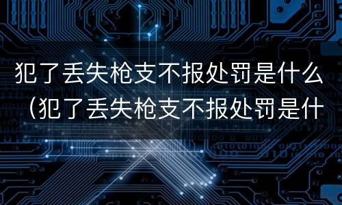 犯了丢失枪支不报处罚是什么（犯了丢失枪支不报处罚是什么意思）