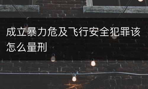 成立暴力危及飞行安全犯罪该怎么量刑