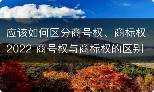 应该如何区分商号权、商标权2022 商号权与商标权的区别