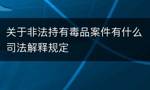 关于非法持有毒品案件有什么司法解释规定