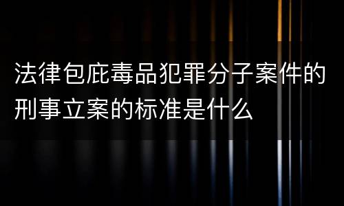 法律包庇毒品犯罪分子案件的刑事立案的标准是什么