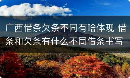 广西借条欠条不同有啥体现 借条和欠条有什么不同借条书写