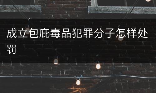 成立包庇毒品犯罪分子怎样处罚