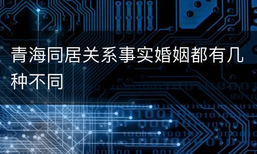 青海同居关系事实婚姻都有几种不同