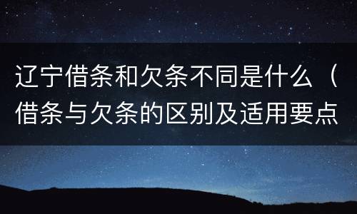 辽宁借条和欠条不同是什么（借条与欠条的区别及适用要点）