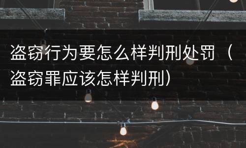 盗窃行为要怎么样判刑处罚（盗窃罪应该怎样判刑）