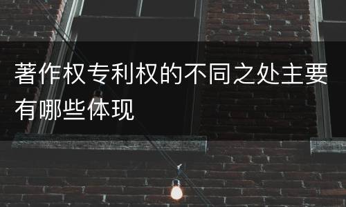 著作权专利权的不同之处主要有哪些体现